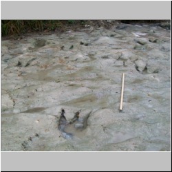 100_0988 (2009-28-07)m.JPG